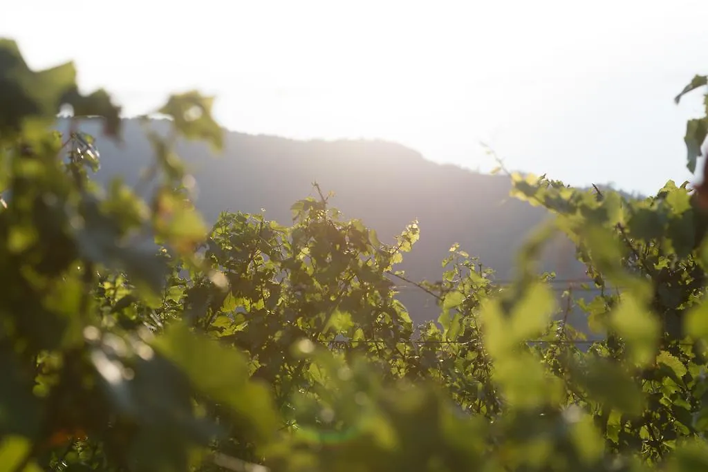 Farm stay Cascina Clarabella Villa Iseo